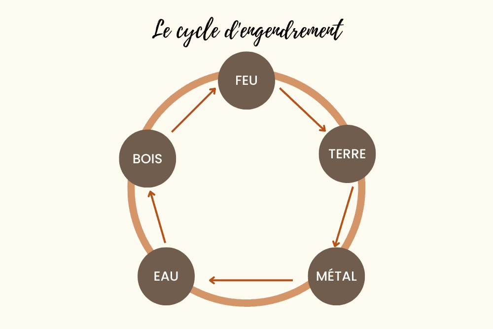 cycle d'engendrement.png