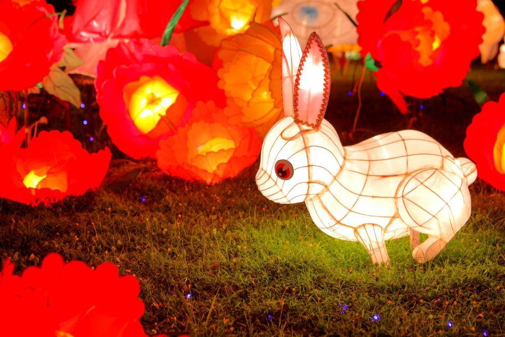 lapin-nouvel-an-chinois.jpg